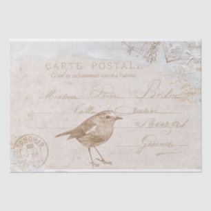 Papier Mousseline Robin Bird Carte Postale French Decoupage Bleu 