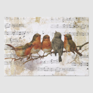 Papier Mousseline Robin Bird Sheet Music Gold Silver Notes Découpage