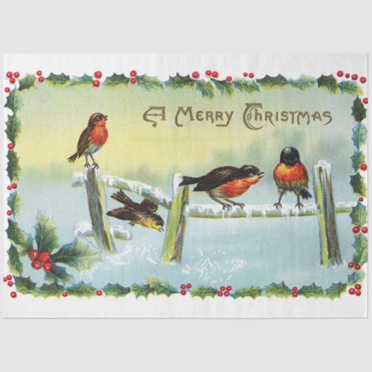 Papier Mousseline Robins vintages Joyeux Noël (Recto)