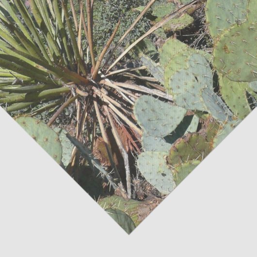 Papier Mousseline Rochers rouges et cactus I (Détail)