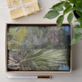 Papier Mousseline Rochers rouges et cactus I (Cadeau)