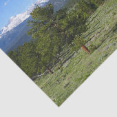 Papier Mousseline Rocky Mountain View Paysage Pittoresque (Détail)