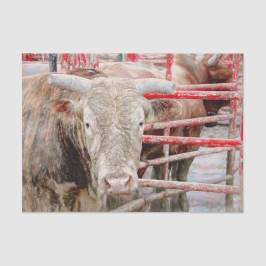 Papier Mousseline Rodeo Bull Russe Country Western (Recto)