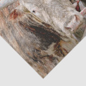 Papier Mousseline Rodeo Bull Russe Country Western (Détail)