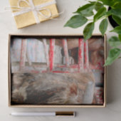 Papier Mousseline Rodeo Bull Russe Country Western (Cadeau)