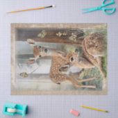 Papier Mousseline Roe Deer Redwood Forest Bois Aquarelle (Artisanat)