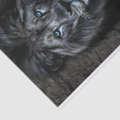 Papier Mousseline Roi de la Nuit (Détail)