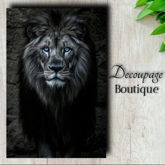 Papier Mousseline Roi de la Nuit