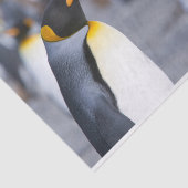 Papier Mousseline Roi Pingouin (Détail)