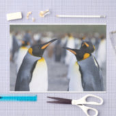 Papier Mousseline Roi Pingouin (Artisanat)