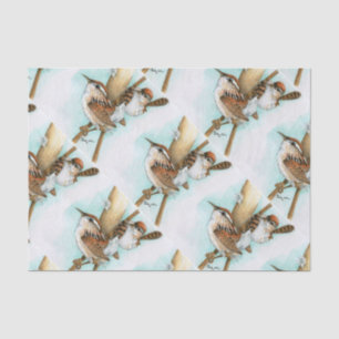 Papier Mousseline roitelets et chat-queue