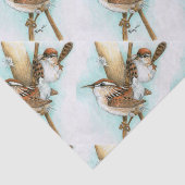 Papier Mousseline roitelets et chat-queue (Détail)