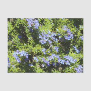 Papier Mousseline romarin à fleurs