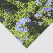 Papier Mousseline romarin à fleurs (Détail)