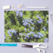 Papier Mousseline romarin à fleurs (Artisanat)