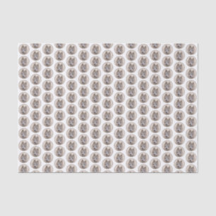 Papier Mousseline rond2