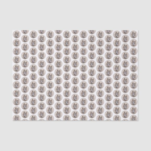 Papier Mousseline rond2 (Recto)