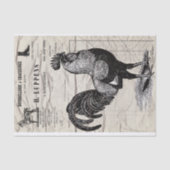Papier Mousseline Rooster (Recto)
