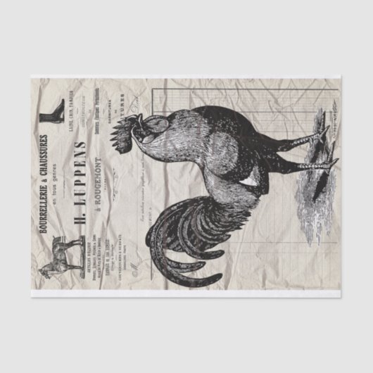 Papier Mousseline Rooster (Recto)