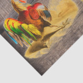 Papier Mousseline Rooster (Détail)