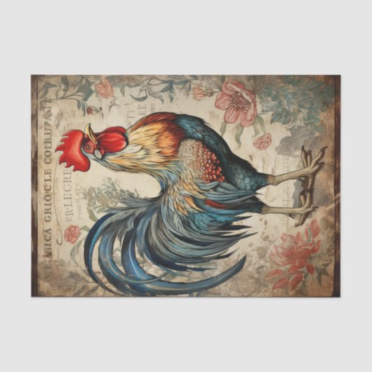 Papier Mousseline Rooster3 (Recto)