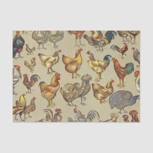 Papier Mousseline Rooster Poulet de la ferme Pays Animal (Recto)