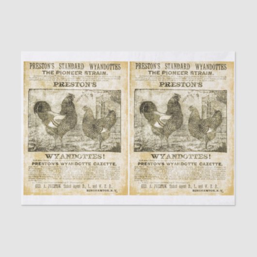 Papier Mousseline Rooster Recherché (double image) (Recto)