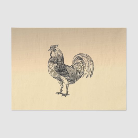 Papier Mousseline Rooster rustique (Recto)