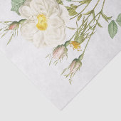Papier Mousseline Rosa alba foliacea (Détail)