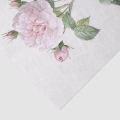 Papier Mousseline Rosa alba regalis (Détail)