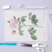 Papier Mousseline Rosa alba regalis (Artisanat)