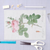 Papier Mousseline Rosa bifera officinalis (Artisanat)