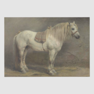 Papier Mousseline Rosa Bonheur Cheval gris en stabilité