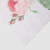 Papier Mousseline Rosa centifolia (Détail)