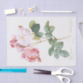 Papier Mousseline Rosa damascena (Artisanat)