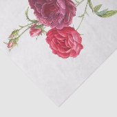 Papier Mousseline Rosa gallica (Détail)