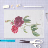 Papier Mousseline Rosa gallica (Artisanat)