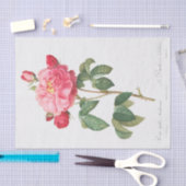 Papier Mousseline Rosa Gallica Aurelianensis (Artisanat)
