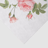 Papier Mousseline Rosa Inermis (Détail)