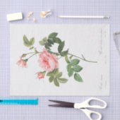 Papier Mousseline Rosa Inermis (Artisanat)