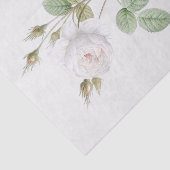 Papier Mousseline Rosa muscosa alba (Détail)