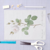 Papier Mousseline Rosa muscosa alba (Artisanat)