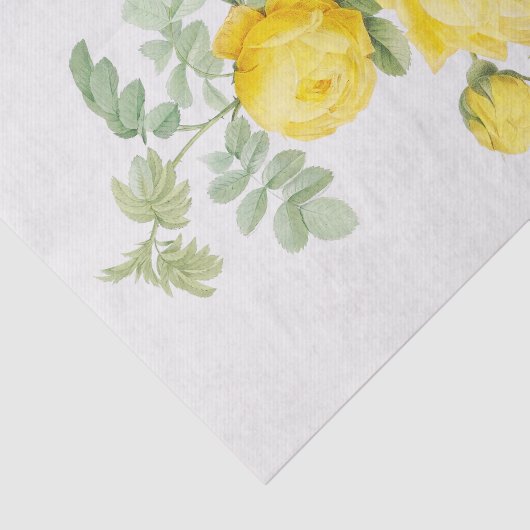 Papier Mousseline Rosa sulfurée (Détail)