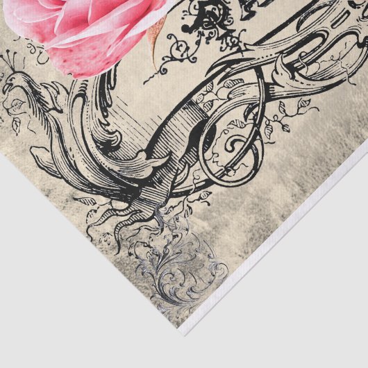 Papier Mousseline rose à Paris (Détail)