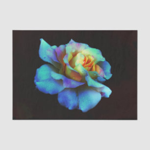 Papier Mousseline Rose arc-en-ciel Turquoise N Gold