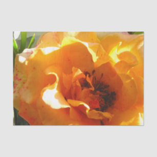 Papier Mousseline Rose assez orange