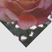 Papier Mousseline Rose avec coeur Tissu Papier (Détail)