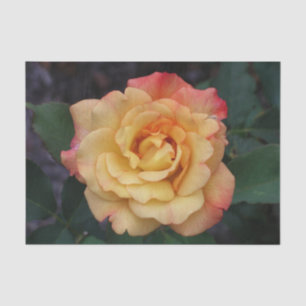 Papier Mousseline Rose Beautiful Pink and Yellow Floral