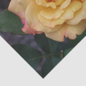 Papier Mousseline Rose Beautiful Pink and Yellow Floral (Détail)