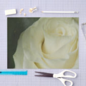 Papier Mousseline Rose Blanche (Artisanat)